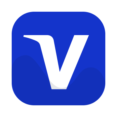 payment:visa